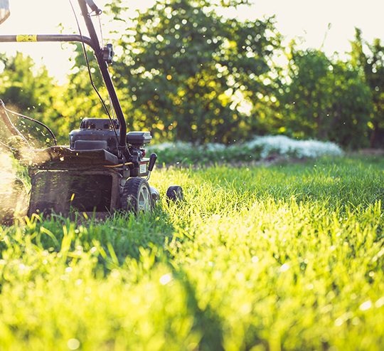 Garden maintenance Melbourne